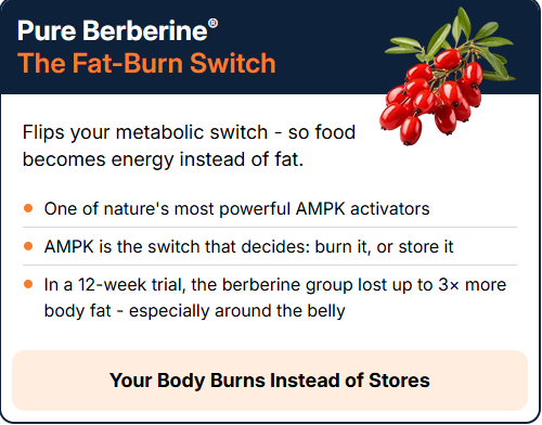 Pure Berberine® — The Fat-Burn Switch. One of nature's most powerful AMPK activators. AMPK is the switch that decides: burn it, or store it. In a 12-week trial, the berberine group lost up to 3x more body fat.